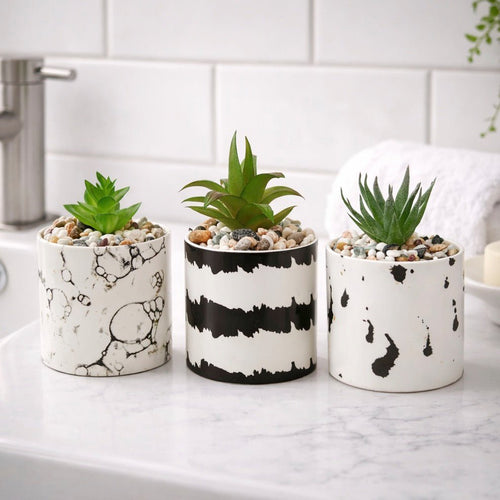 Mimo Set of 3 White And Black Succulents
