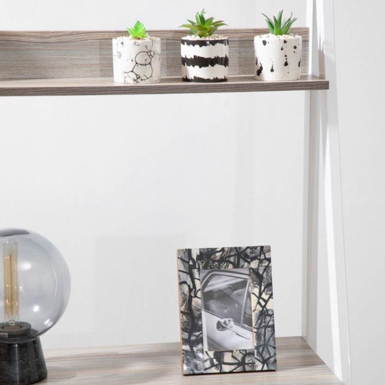 Mimo Set of 3 White And Black Succulents3 - Duck Barn Interiors