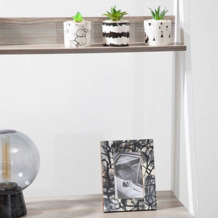 Mimo Set of 3 White And Black Succulents3 - Duck Barn Interiors