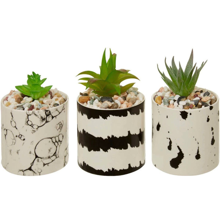 Mimo Set of 3 White And Black Succulents4 - Duck Barn Interiors
