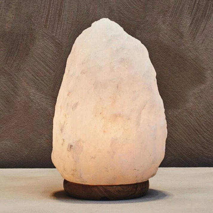 Nepal White Natural Salt Lamp - Large4 - Duck Barn Interiors