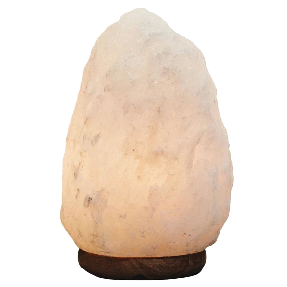 Nepal White Natural Salt Lamp - Large2 - Duck Barn Interiors