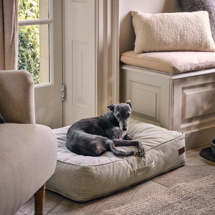 Oaklands Rectangular Pet Cushion Bed - Large1 - Duck Barn Interiors