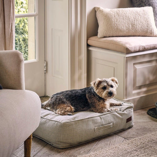 Oaklands Rectangular Pet Cushion Bed - Small
