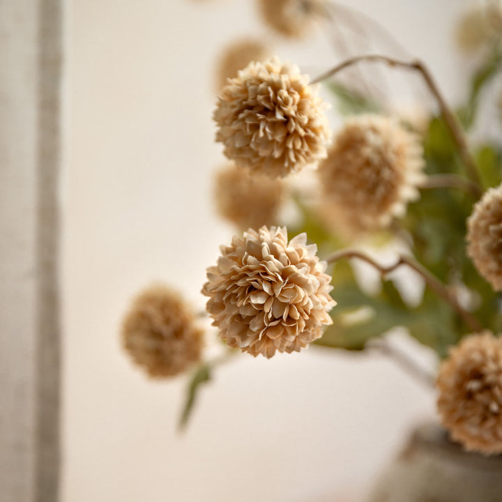 Pom Pom Arrangement