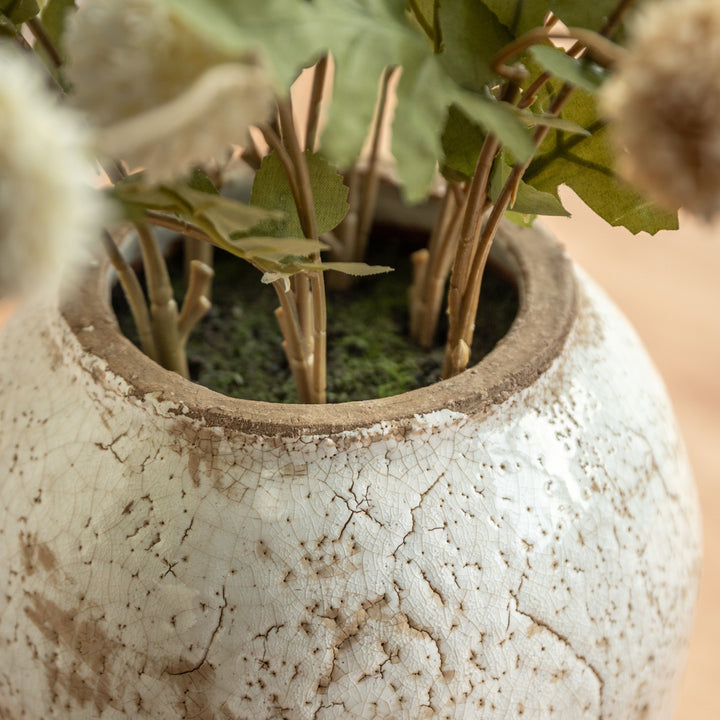 Pom Pom Arrangement