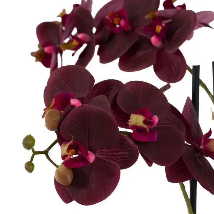 Real Touch Plum Orchid in Ceramic Ridged Pot - 85cm4 - Duck Barn Interiors