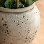 Real Touch White Orchid in Cement-Style Pot - 100cm4 - Duck Barn Interiors