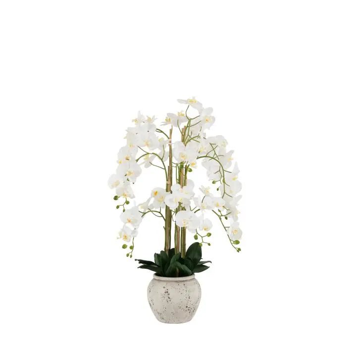 Real Touch White Orchid in Cement-Style Pot - 100cm2 - Duck Barn Interiors