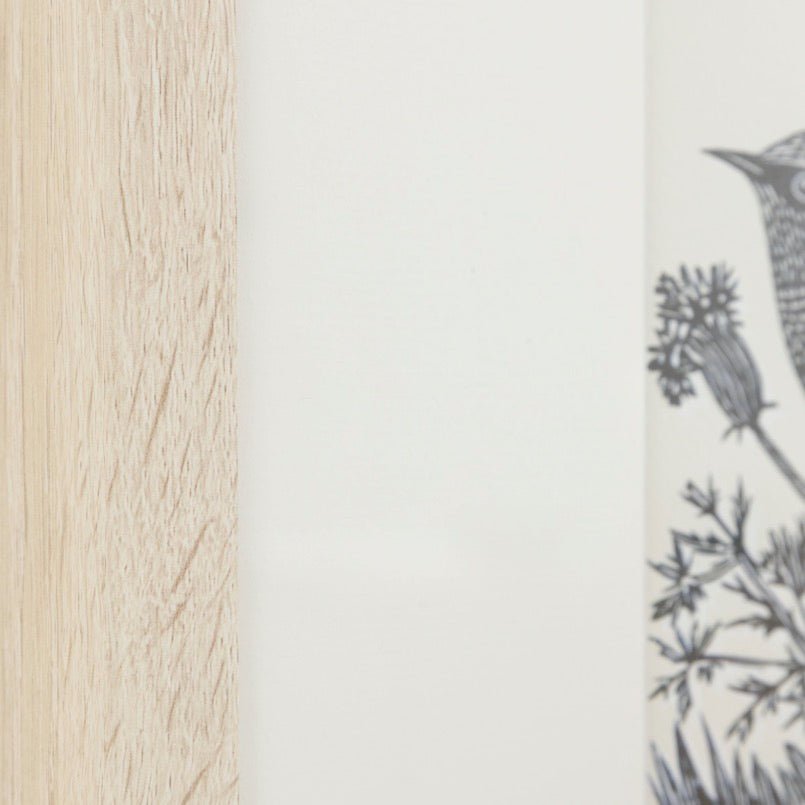 Rural Studies I by Laura Bolton - Set of 24 - Duck Barn Interiors