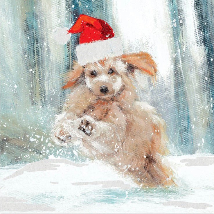 Santa Puppy Charity Christmas Cards - Pack of 61 - Duck Barn Interiors