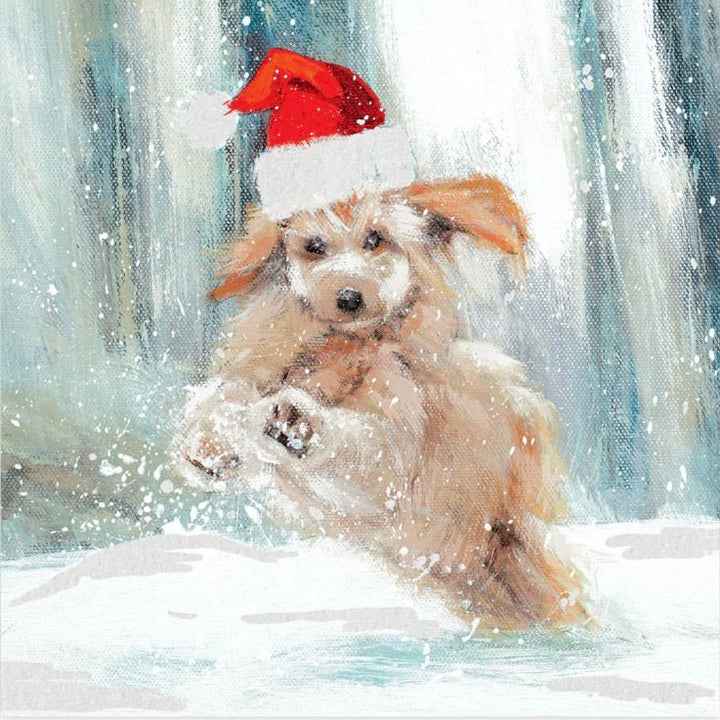 Santa Puppy Charity Christmas Cards - Pack of 61 - Duck Barn Interiors