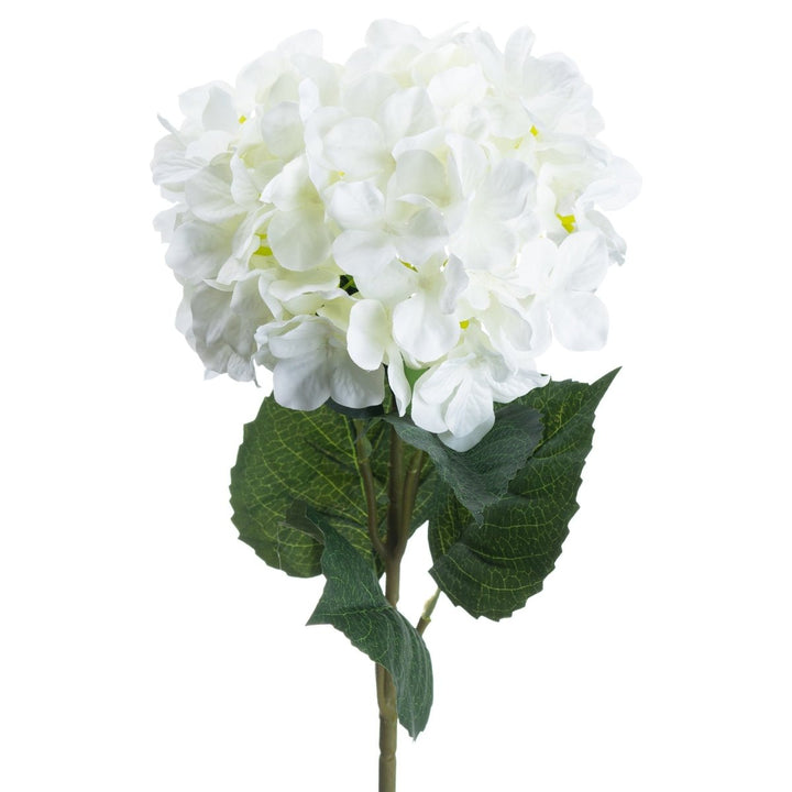 Single White Hydrangea1 - Duck Barn Interiors