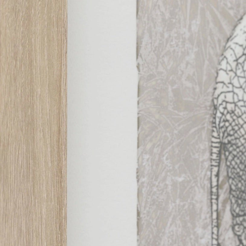 The Journey by Charlotte Oakley - Set of 24 - Duck Barn Interiors