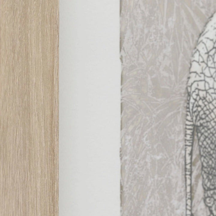 The Journey by Charlotte Oakley - Set of 24 - Duck Barn Interiors