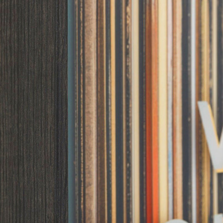 The Vinyl Collector by Karen Reavill2 - Duck Barn Interiors