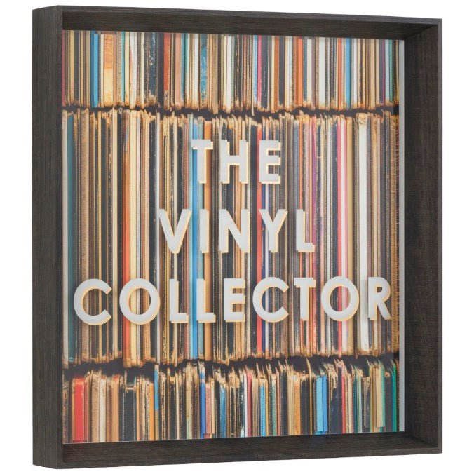 The Vinyl Collector by Karen Reavill5 - Duck Barn Interiors