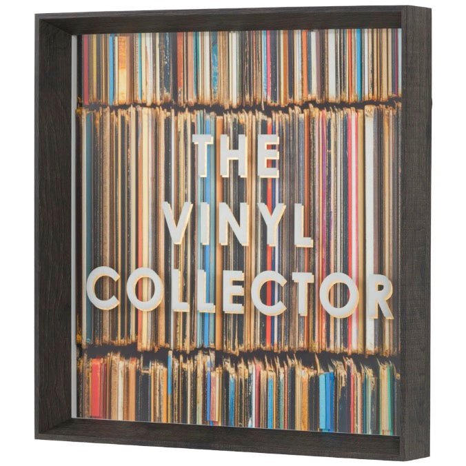 The Vinyl Collector by Karen Reavill4 - Duck Barn Interiors