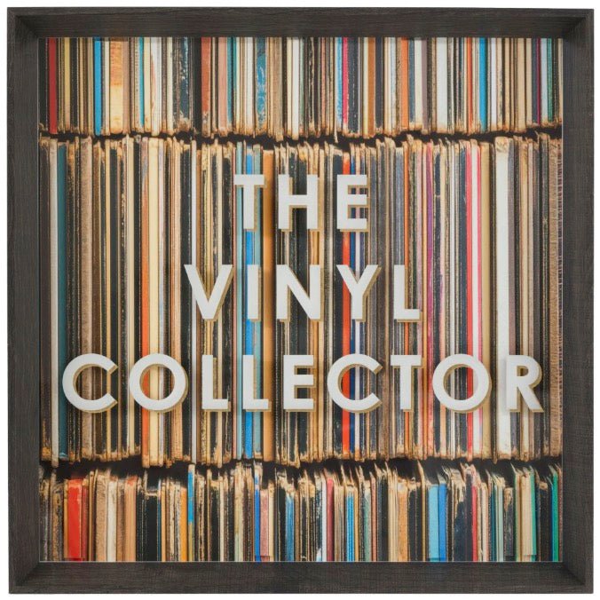 The Vinyl Collector by Karen Reavill1 - Duck Barn Interiors