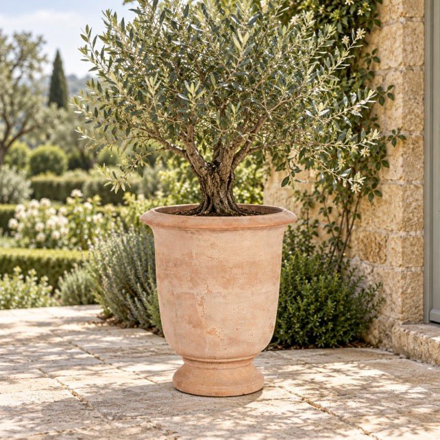 Ubley Terracotta Planter - 64.5cm1 - Duck Barn Interiors