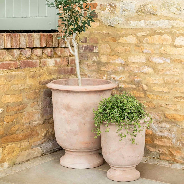 Ubley Terracotta Planter - 64.5cm2 - Duck Barn Interiors