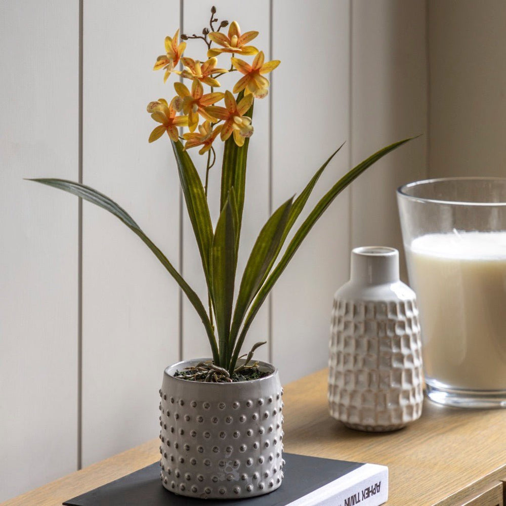 Yellow & Orange Orchid in White Ceramic Pot1 - Duck Barn Interiors