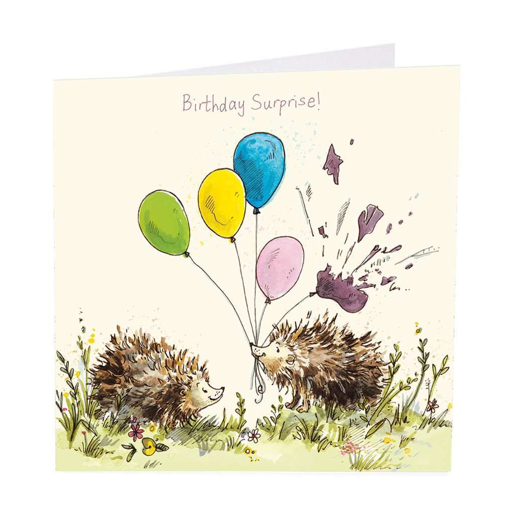 Birthday Surprise Card - Duck Barn Interiors