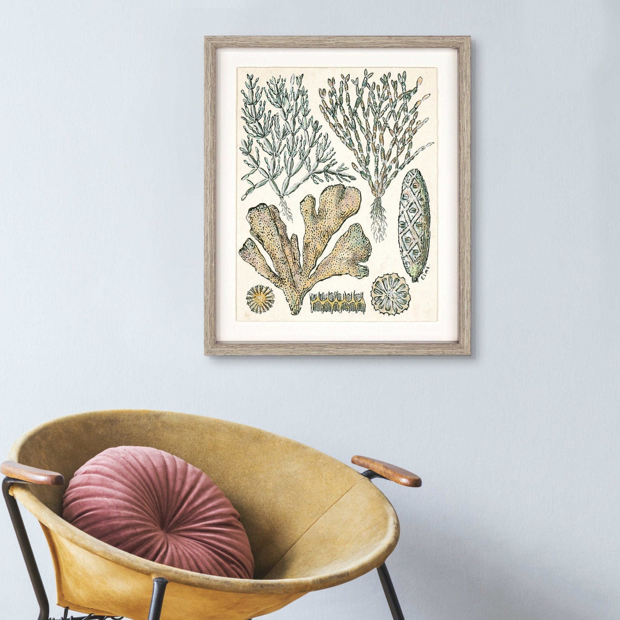 Carnation Coral by Esme Lintin - Duck Barn Interiors
