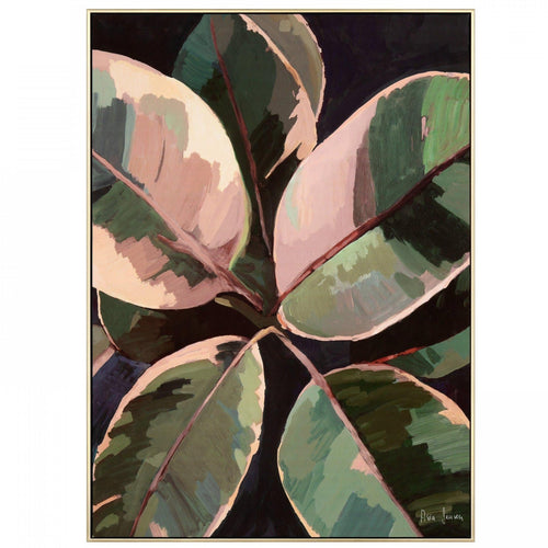 Ficus by Asia Jensen
