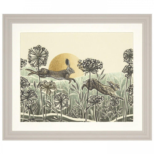 Light of Day by Charlotte Oakley