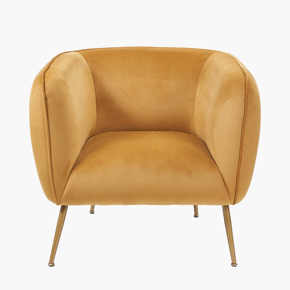 Lucca Gold Velvet Chair with Gold Legs - Duck Barn Interiors