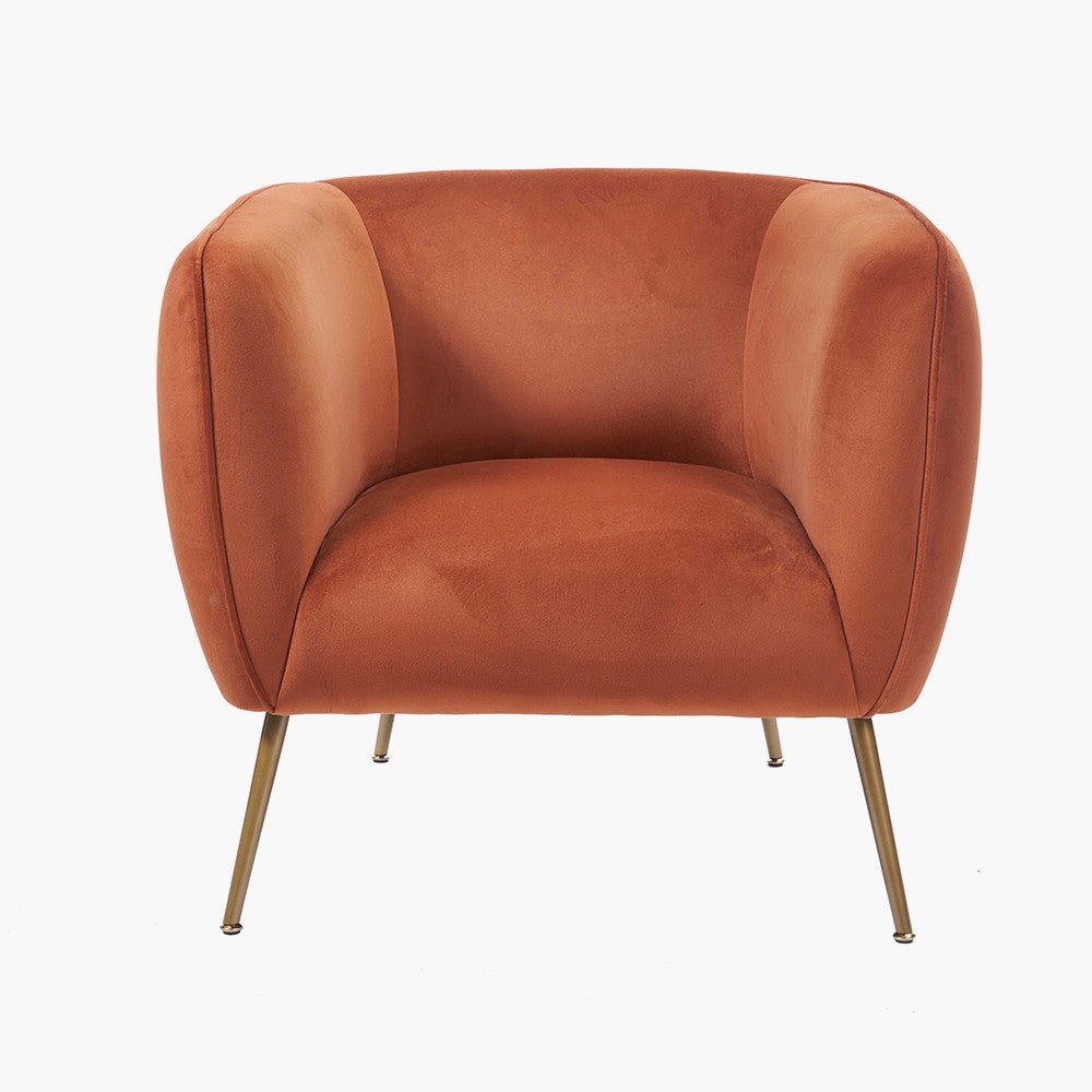 Lucca Tobacco Velvet Chair with Gold Legs - Duck Barn Interiors