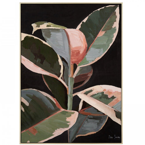 Robusta by Asia Jensen