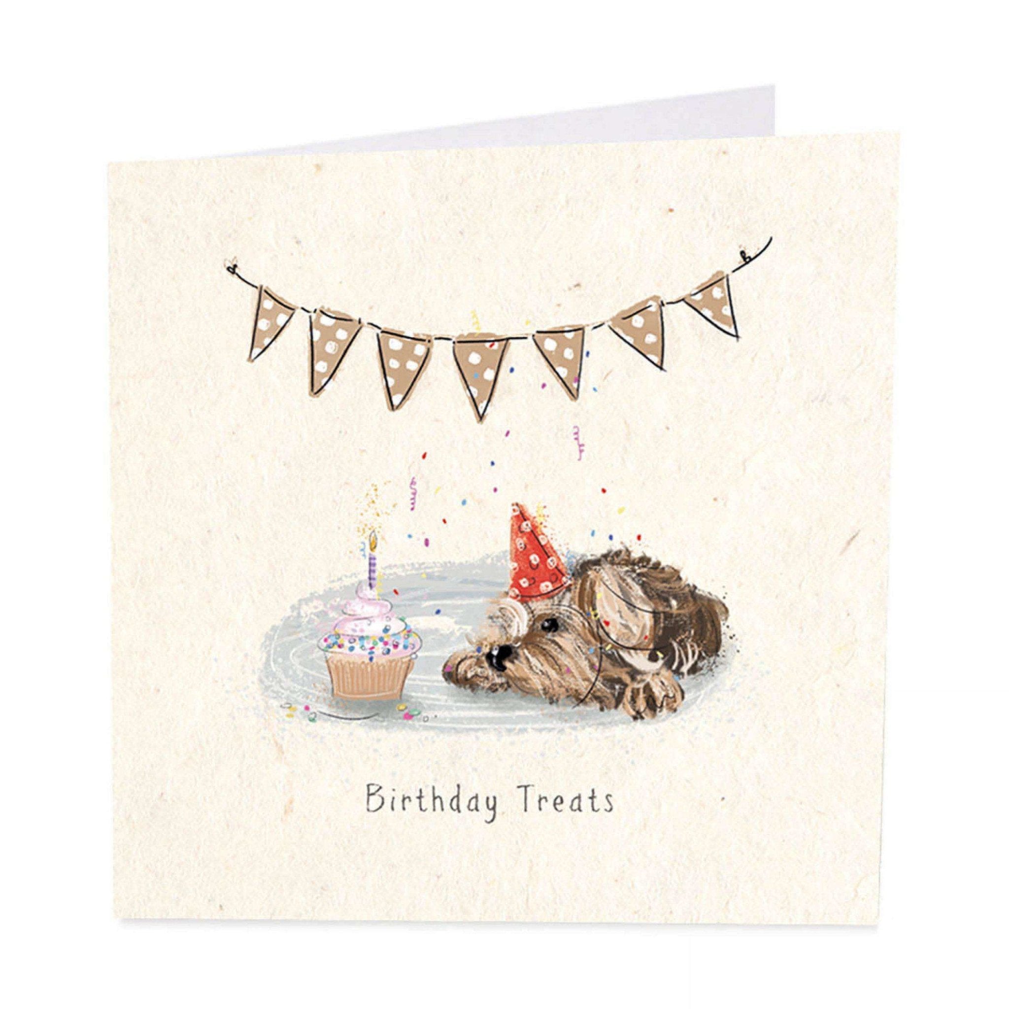 Stay Birthday Treats Birthday Card - Duck Barn Interiors