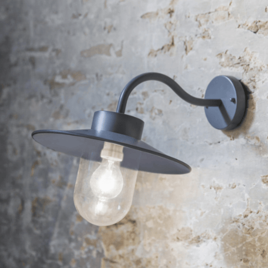 Swan Neck Light in Charcoal - Steel